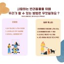 돌봉 | 서울 방문 펫시터, 호텔보다 안전한 이유 6년 무사고의 비밀