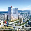 피앤디인터내셔널 이미지