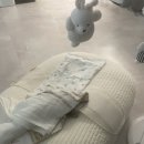 신생아 제이앤제나 역방쿠 역류방지쿠션 잠 출산선물