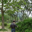 인천대공원 이미지