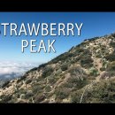 23년 11/11(토) Strawberry Peak 이미지