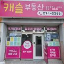 뉴캐슬공인중개사사무소 이미지