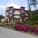 운주산승마자연휴양림 네이버블로그
