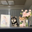 꽃으로 힐링하는 플라워 클래스 | 논현동꽃집, 강남 플라워클래스 블루밍스완 달항아리 수업 후기