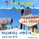 라스베가스 | 미국여행 라스베가스 후기, 벨라지오 분수쇼 야경투어