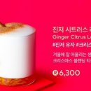 인어루트