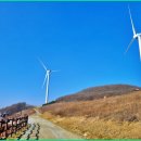 차로 정상까지 오른다고" 해발 1,200m, 한국의 알프스라 불리는 힐링 명소 이미지