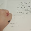 [3개월 다이어리] 독도 다이어리 후기