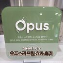 신논현피부과 오푸스레이저 리프팅 가격 효과 후기