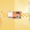 가심비닷