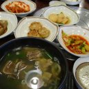 서울대학교병원의학박물관 Daum카페