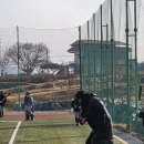 탄금야구장 이미지