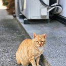 옥계북로12길-1 이미지