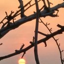 남정기농장 이미지