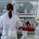 보란파마 이미지