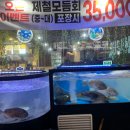 회쳐
