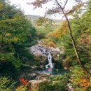 대천공원4호 이미지