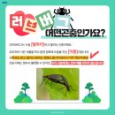 무림 합기도 특공무술 이미지