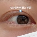 메종드연희