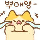 리코타니