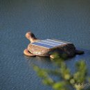 산 위에 호수 이미지