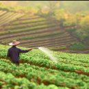 공익직불금 감액 없도록…“의무교육 이수하세요” 이미지