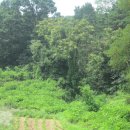 주식회사 진성산업 이미지