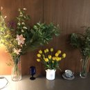 힐링게임랜드 이미지