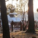 동백유원지 이미지