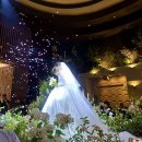 다정한 개아빠 | 나너무많은일이잇엇어힘들다진짜(내 결혼식 후기)