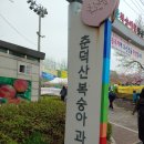 부천 춘덕산 복사꽃 축제 / 2019.4.21.일 이미지