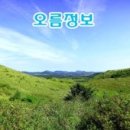 이요자태양광발전소 | 원당봉. 원당오름/세 개의 사찰과 일곱 개의 봉우리를 거느린 삼첩칠봉