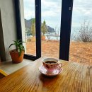 유자랜드펜션 이미지