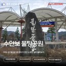 수안보물탕공원_cctv | 수안보가볼만한곳 물좋고 공기좋은 물탕공원