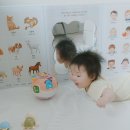 [5개월 아기] 첫 문화센터 가는날 :: 금천홈플러스 문화센터 추천- 모모랑 놀자 오감 &amp; 책 자연놀이 아이젬