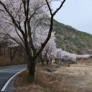 산안1리 티스토리