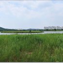 배곧한울공원 이미지