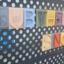 부티크더독스 이미지