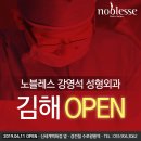 노블레스강영석성형외과의원 이미지
