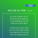 보람과 기쁨 감사와 행복.나의 연약함을 내려놓고.둘이 하나되어 가는 여정.다시 한번 사랑의 얼굴을 보며.나누고 베풀며 눈을 닦아 주시던 이미지