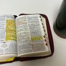 한독스포츠클럽(실내) | [수영일기 #134] 국제 스포츠클럽 양정 실내수영장 자유수영 후기