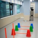 우리아이유치원 | 서초 강아지유치원, 우리 아이 첫 체험 후기