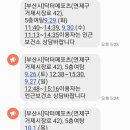 닥터 메포츠 이미지