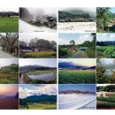 관양도서관 이미지