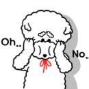 HC모터스 이미지