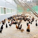 소망기획 한국농어민신문