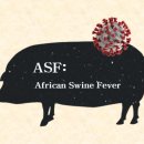 대규농장 이미지