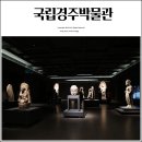 국립경주박물관 | 국립경주박물관 관람 후기 전시 정보 총정리