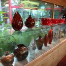 숲속의 정원 이미지