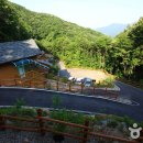 민주지산자연휴양림 이미지